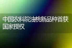 中国农科院油桃新品种首获国家授权