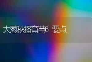 大葱秋播育苗6要点