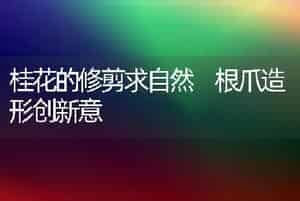 桂花的修剪求自然 根爪造形创新意