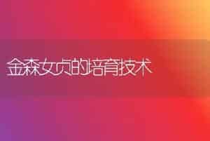 金森女贞的培育技术