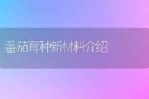 番茄育种新材料介绍