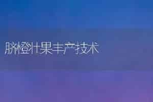 脐橙壮果丰产技术