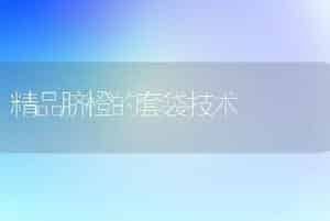 精品脐橙的套袋技术