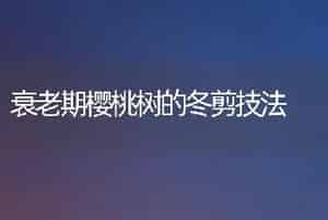 直播大白菜如何管理