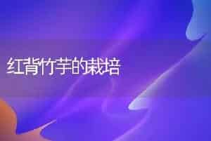 大田玫瑰管理技术