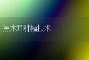 黑木耳种植技术