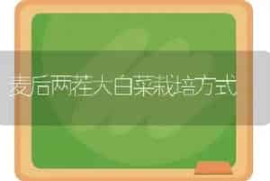 麦后两茬大白菜栽培方式