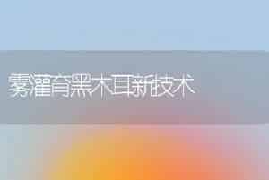 雾灌育黑木耳新技术