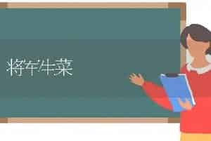 将军生菜