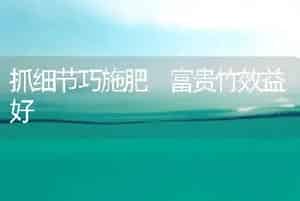 脐橙保花保果技术