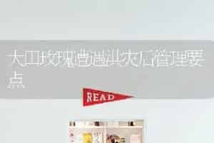 大田玫瑰遭遇洪灾后管理要点