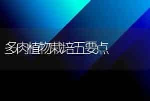 多肉植物栽培五要点