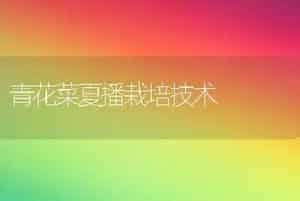 青花菜夏播栽培技术