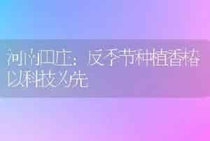 荷花栽培技术和荷花图片以及荷花安全过冬知识