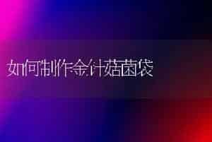 大桂花树移栽技术要点