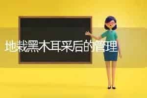 地栽黑木耳采后的管理
