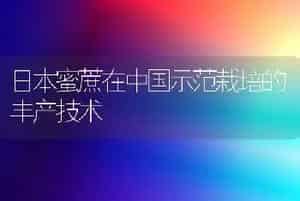 日本蜜蔗在中国示范栽培的丰产技术