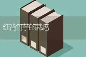 刺玫瑰繁殖的方法