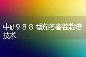 中研988番茄冬春茬栽培技术