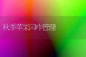 介绍3个白菜品种