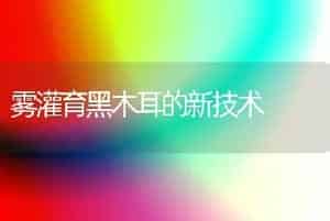 雾灌育黑木耳的新技术