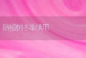 脐橙树冬季慎用