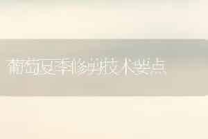 含羞草有啥作用？