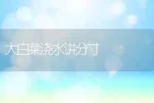 大白菜浇水讲分寸