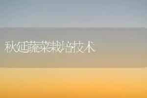 不同品种植株高接朋娜脐橙比较试验初报