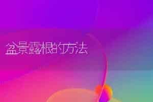 利用薄膜温室促成栽培郁金香