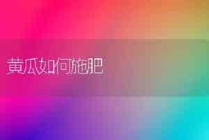 生菜冬季保护地的种植技术