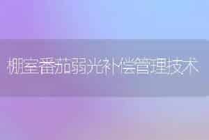棚室番茄弱光补偿管理技术