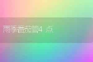 雨季番茄管4点