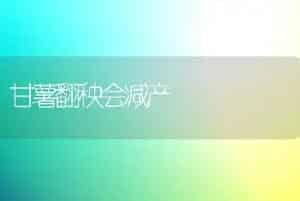 脐橙春梢的调控技术