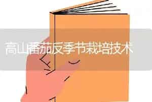 高山番茄反季节栽培技术