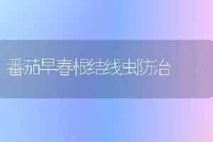 番茄早春根结线虫防治