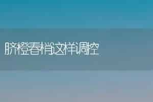 脐橙春梢这样调控