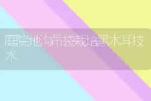庭院地沟吊袋栽培黑木耳技术