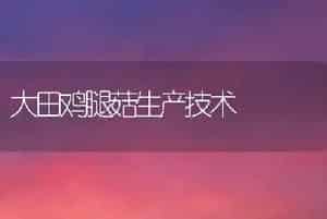 盆栽桂花树的整形修剪技术介绍