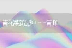 青花菜新品种――青峰