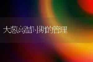 大葱高温时期的管理