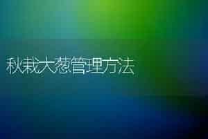 秋栽大葱管理方法