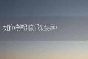 荷花越冬如何管理？