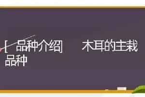 [品种介绍] 木耳的主栽品种