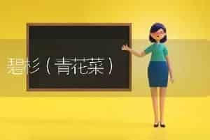碧杉（青花菜）