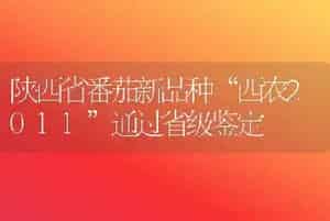 陕西省番茄新品种“西农2011”通过省级鉴定
