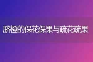 脐橙的保花保果与疏花疏果