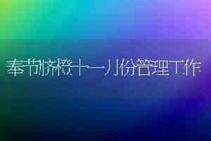 奉节脐橙十一月份管理工作