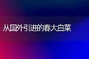 从国外引进的春大白菜