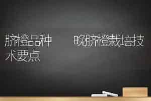 脐橙品种――晚脐橙栽培技术要点